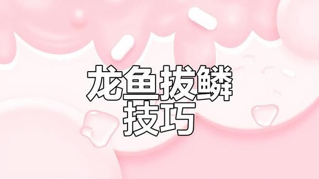 龍魚美容師需要哪些技能