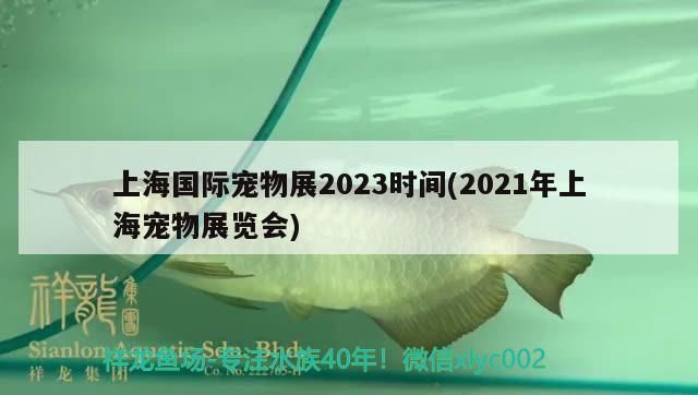 上海國際寵物展2023時間(2021年上海寵物展覽會)（2021年上海國際寵物展2023時間知識分享上海國際寵物展）