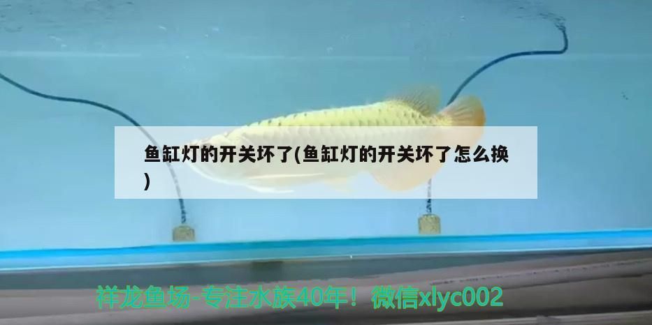 魚缸燈的開關壞了(魚缸燈的開關壞了怎么換)
