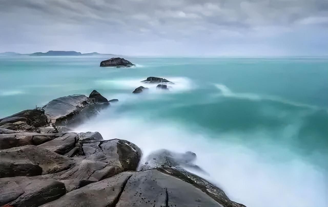 海水成長活力配方（海水成長活力配方對水母的飼養水母的影響不同）
