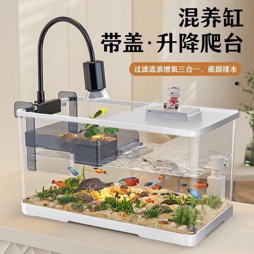 推薦幾款適合混養的魚缸品牌（適合混養的魚缸品牌）