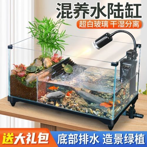 推薦幾款適合混養的魚缸品牌（適合混養的魚缸品牌）