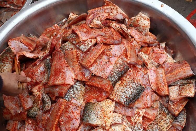 請問紅曲魚多少錢一斤（紅曲魚價格因地區(qū)、季節(jié)和市場供需情況而有所不同）