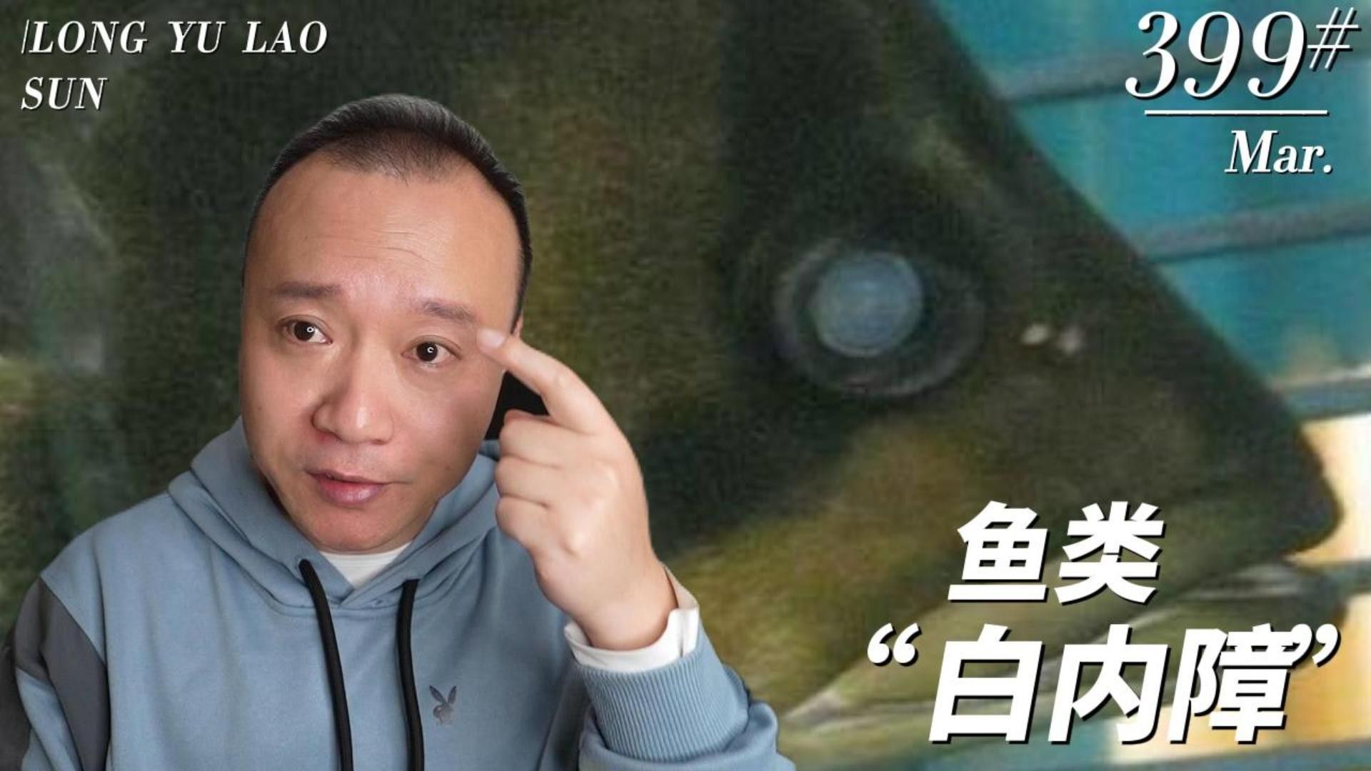 龍魚和虎魚哪個更難養(yǎng)？（龍魚與虎魚的區(qū)別）