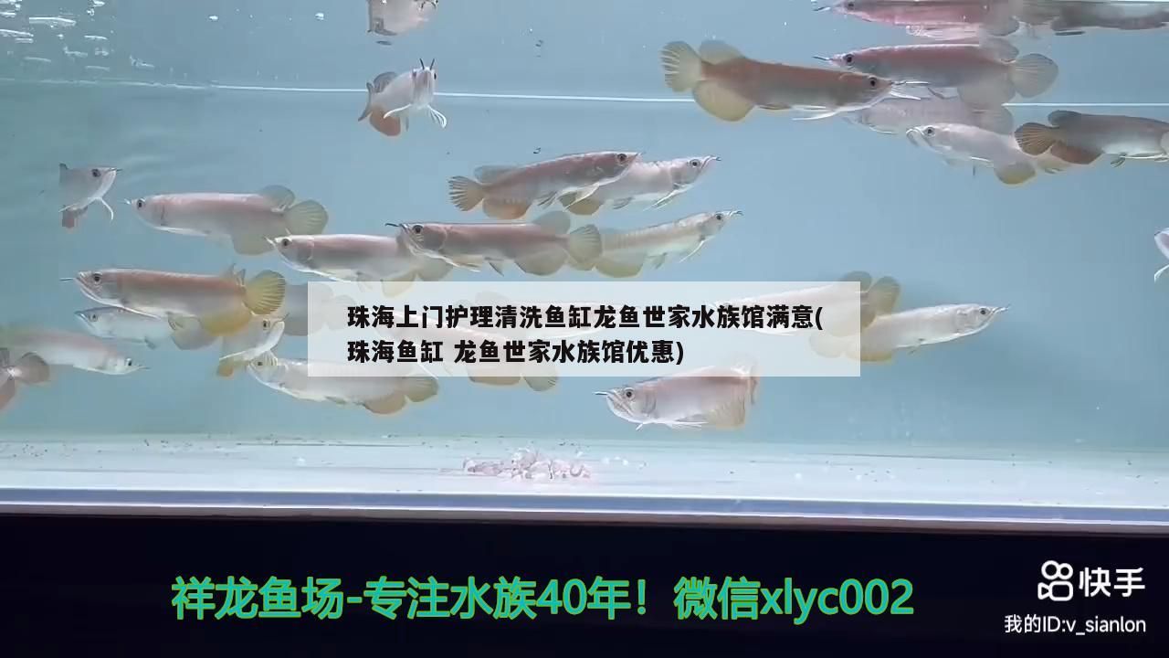 <strong><mark>珠海</mark></strong>上門護理清洗魚缸龍魚世家水族館滿意(<strong><mark>珠海</mark></strong>魚缸龍魚世家水族館優惠)