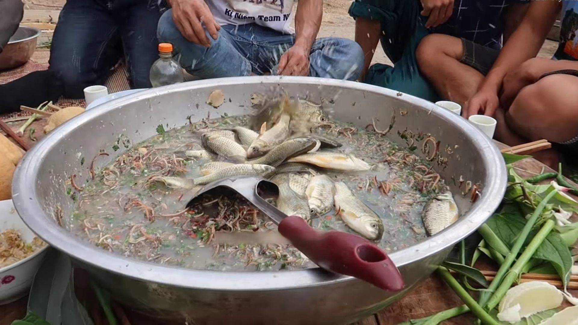 沙拉魚是什么魚（沙拉魚是什么魚？）
