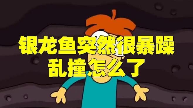 如何預防龍魚應激（龍魚為何趴缸’揭秘背后真相與高效解決方法）
