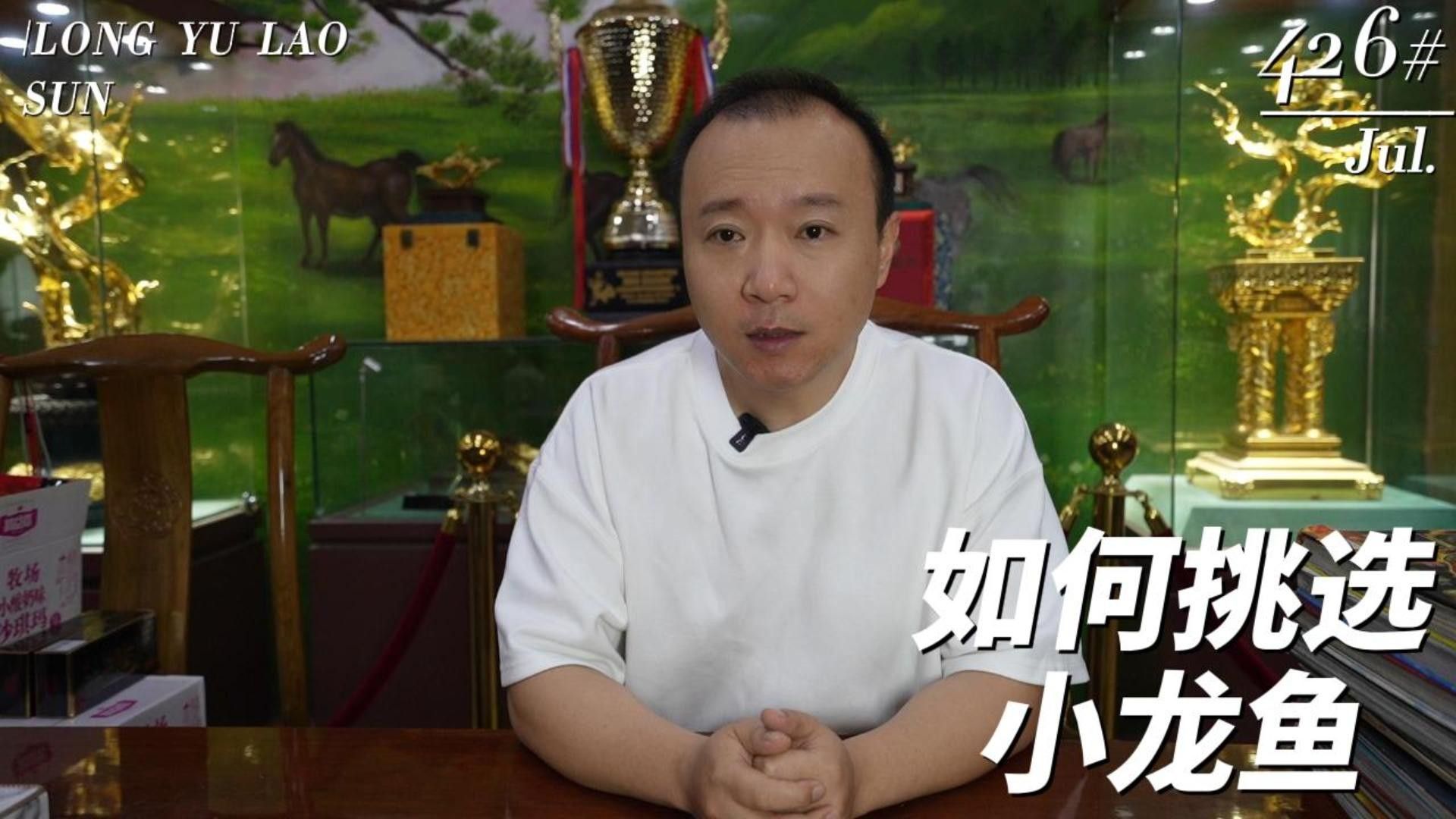 如何挑選健康的小龍魚（如何挑選一條健康的小龍魚）