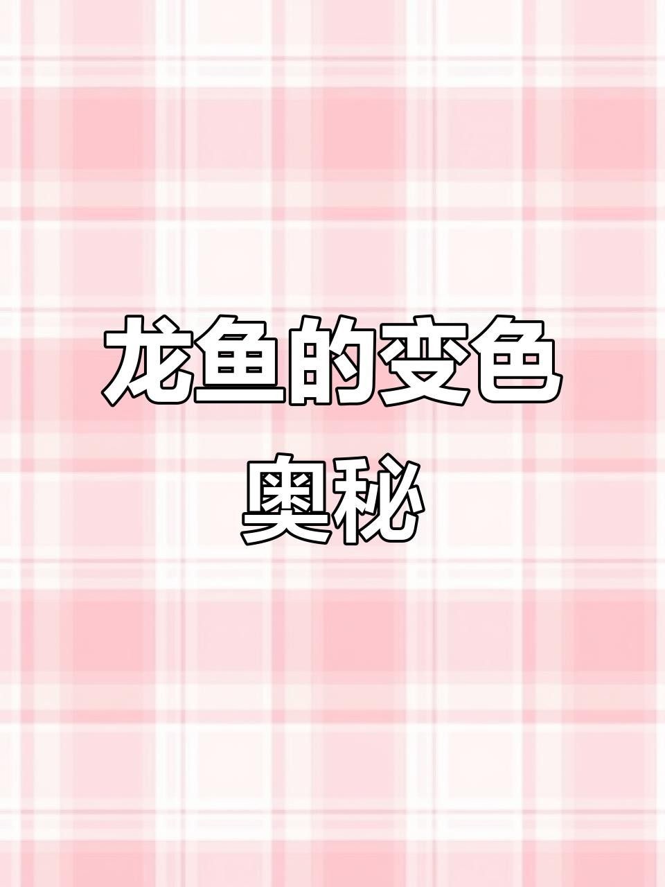 旅順口紅龍魚最忌三種顏色（旅順口紅龍魚最忌三種顏色，） 旅順口紅龍魚最忌三種顏色（旅順口紅龍魚最忌三種顏色，） 觀賞魚百科 第2張
