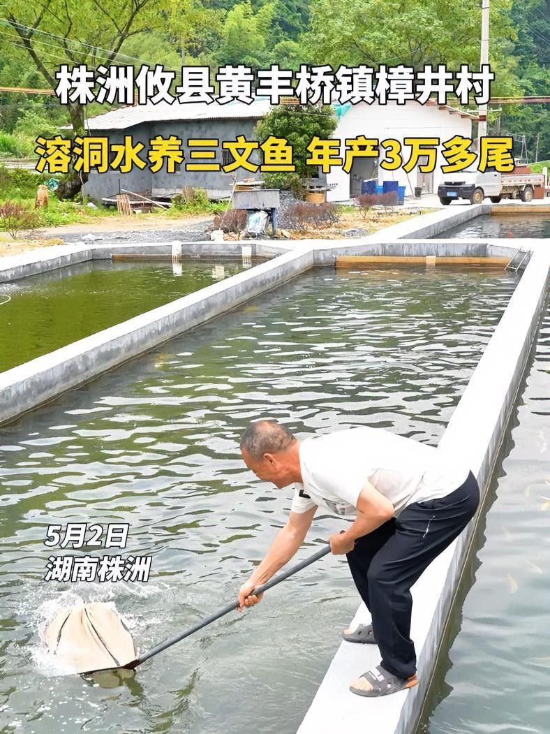株洲養魚基地