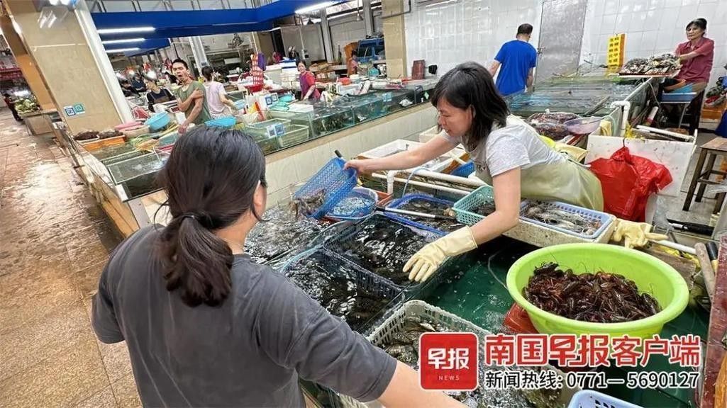 普通紅龍魚的價格范圍是多少？（性價比高的紅龍魚，普通紅龍魚市場價格走勢如何）
