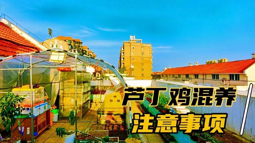 混養時如何控制密度？（如何有效控制動物混養密度） 混養時如何控制密度？（如何有效控制動物混養密度） 龍魚百科 第3張