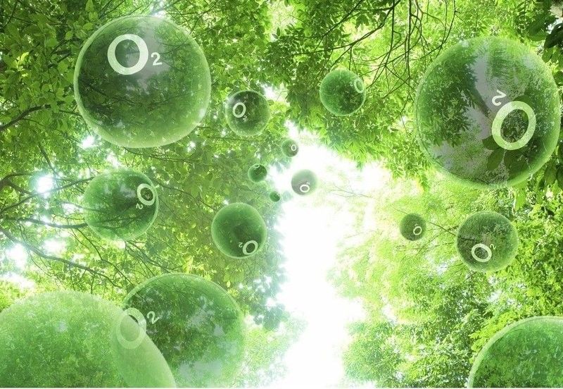 混養時如何控制密度？（如何有效控制動物混養密度） 混養時如何控制密度？（如何有效控制動物混養密度） 龍魚百科 第5張