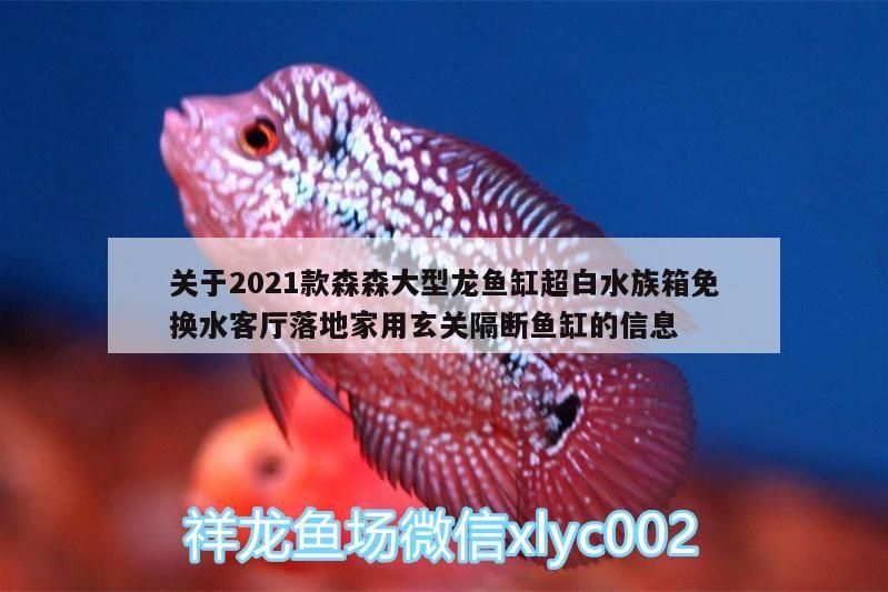 關(guān)于2021款森森大型龍魚缸超白水族箱免換水客廳落地家用玄關(guān)隔斷魚缸的信息（2021款森森大型龍魚缸安裝步驟）
