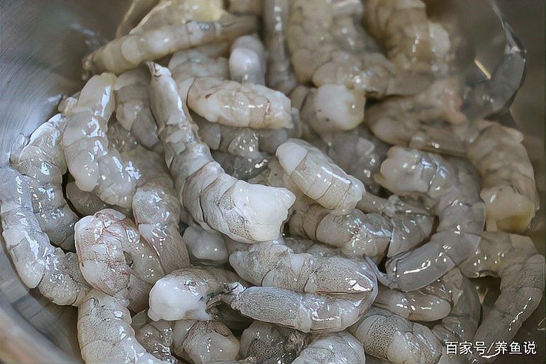 龍魚飼料魚消毒后能保存多久