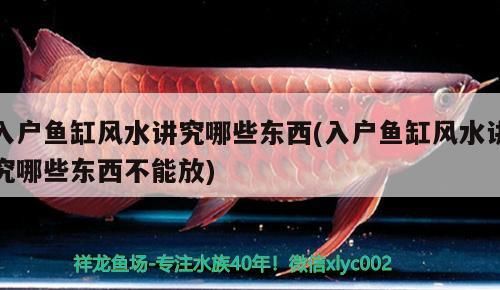 一米二魚缸能裝多少水(一米二的魚缸能裝多少水)