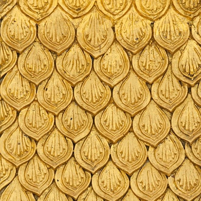 如何區分金龍魚的年齡階段（如何區分金龍魚年齡階段）
