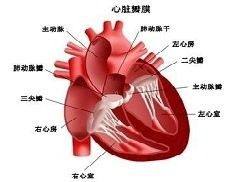 如何檢測TDS值（s（totaldissolvedsolids）常用的tds檢測筆）