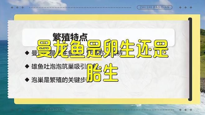 曼龍魚繁殖需要哪些條件（曼龍魚怎么繁殖）