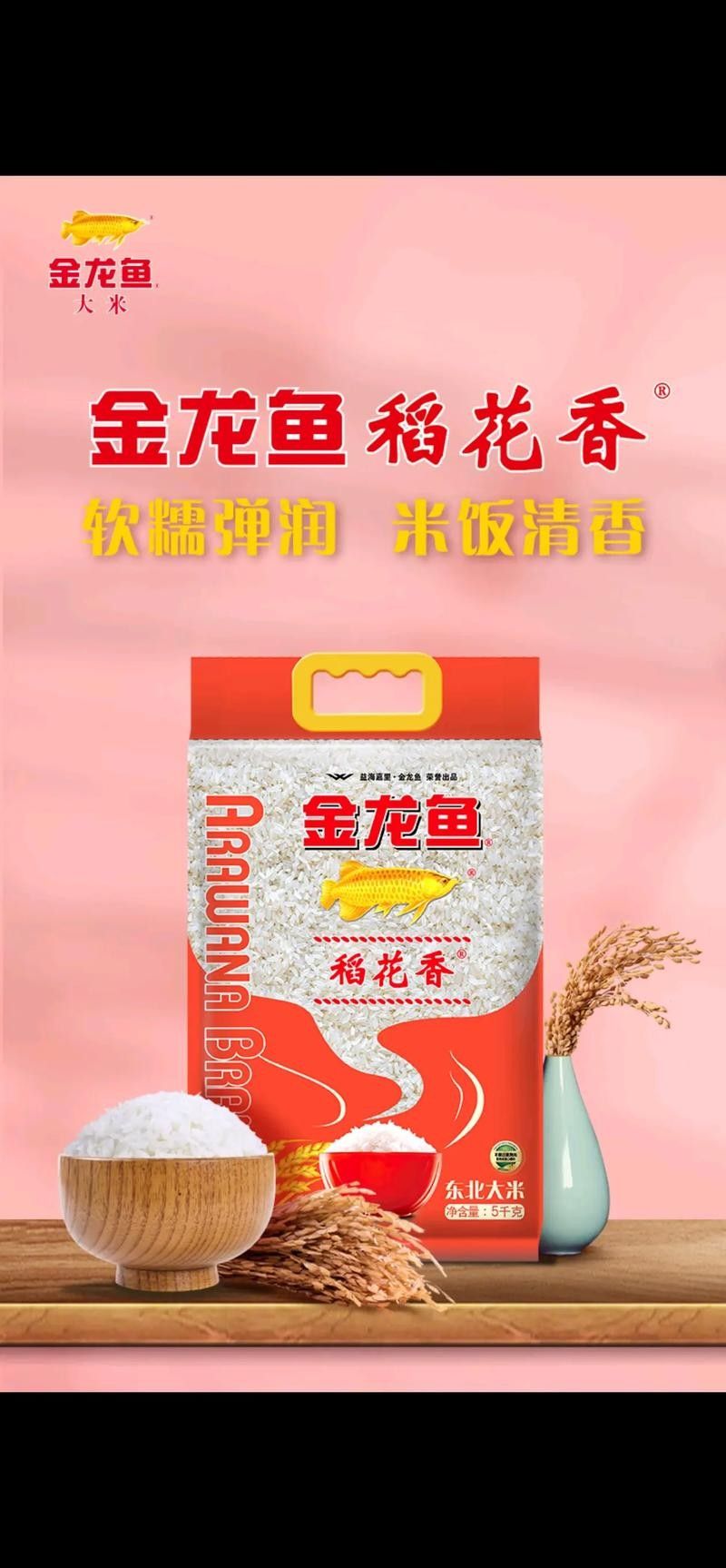 金龍魚稻花香米的價(jià)格是多少（金龍魚稻花香米價(jià)格） 金龍魚稻花香米的價(jià)格是多少（金龍魚稻花香米價(jià)格） 龍魚百科 第1張
