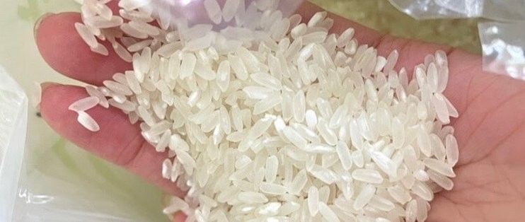 金龍魚稻花香米的價(jià)格是多少（金龍魚稻花香米價(jià)格） 金龍魚稻花香米的價(jià)格是多少（金龍魚稻花香米價(jià)格） 龍魚百科 第8張