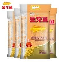 金龍魚稻花香米的價(jià)格是多少（金龍魚稻花香米價(jià)格） 金龍魚稻花香米的價(jià)格是多少（金龍魚稻花香米價(jià)格） 龍魚百科 第13張