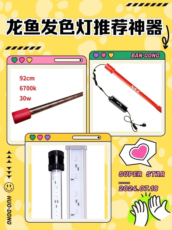 龍魚側燈應該使用什么類型（魚側燈選擇對于維持水質的穩定和提高觀賞效果至關重要）