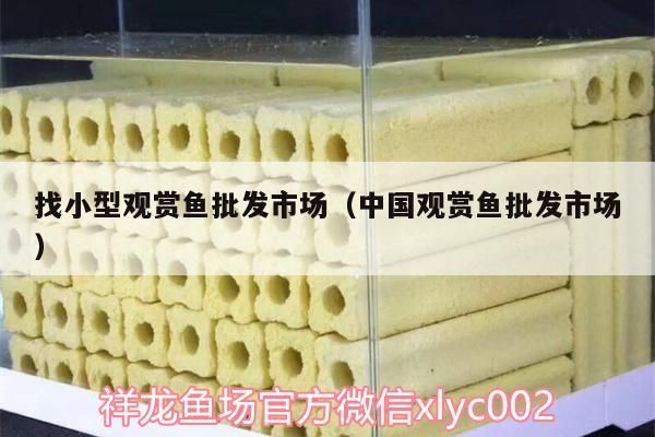 找小型觀賞魚批發市場（中國觀賞魚批發市場）（小型觀賞魚批發市場） 找小型觀賞魚批發市場（中國觀賞魚批發市場）（小型觀賞魚批發市場） 觀賞魚百科