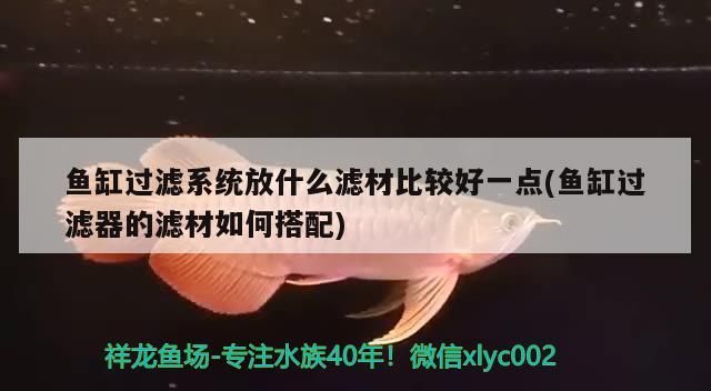 魚缸過濾系統放什么濾材比較好一點(魚缸過濾器的濾材如何搭配)（魚缸過濾系統放什么濾材） 魚缸過濾系統放什么濾材比較好一點(魚缸過濾器的濾材如何搭配)（魚缸過濾系統放什么濾材） 觀賞魚百科
