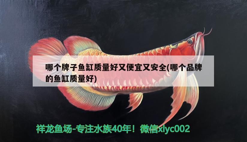 哪個(gè)牌子魚缸質(zhì)量好又便宜又安全(哪個(gè)品牌的魚缸質(zhì)量好)（什么牌子的魚缸質(zhì)量好又便宜又安全的知識：什么牌子的魚缸好）