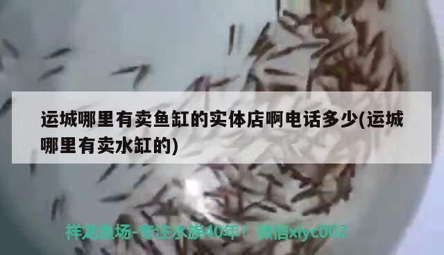 運(yùn)城哪里有賣魚缸的實(shí)體店啊電話多少(運(yùn)城哪里有賣水缸的)（運(yùn)城哪里有賣水缸的實(shí)體店？）
