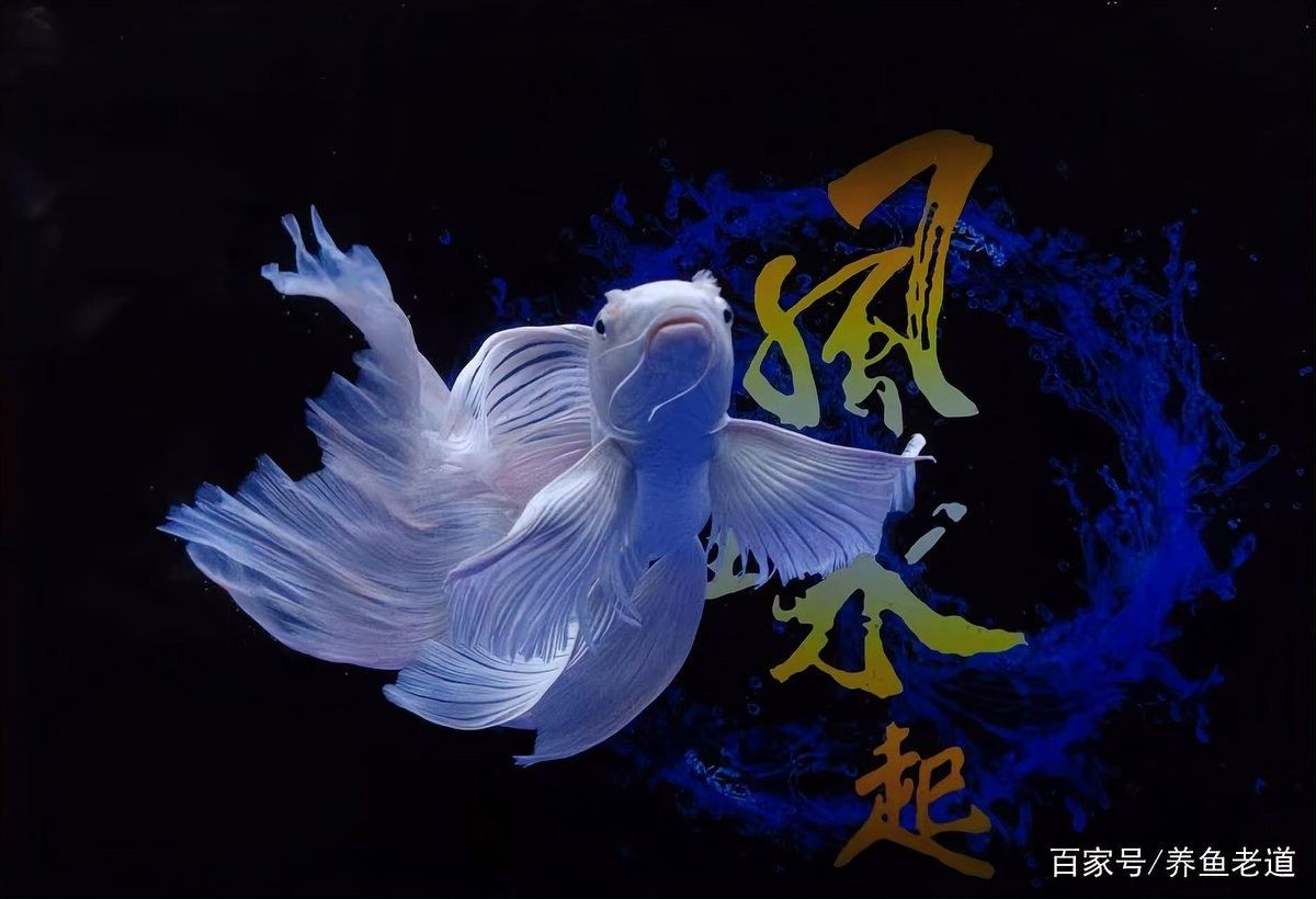 生化棉多久清洗一次？（生化棉多久更換一次？）