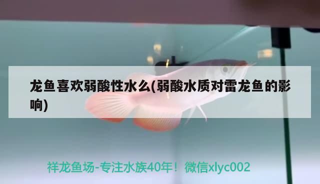 龍魚喜歡弱酸性水么(弱酸水質(zhì)對雷龍魚的影響)（龍魚喜歡弱酸性水么）