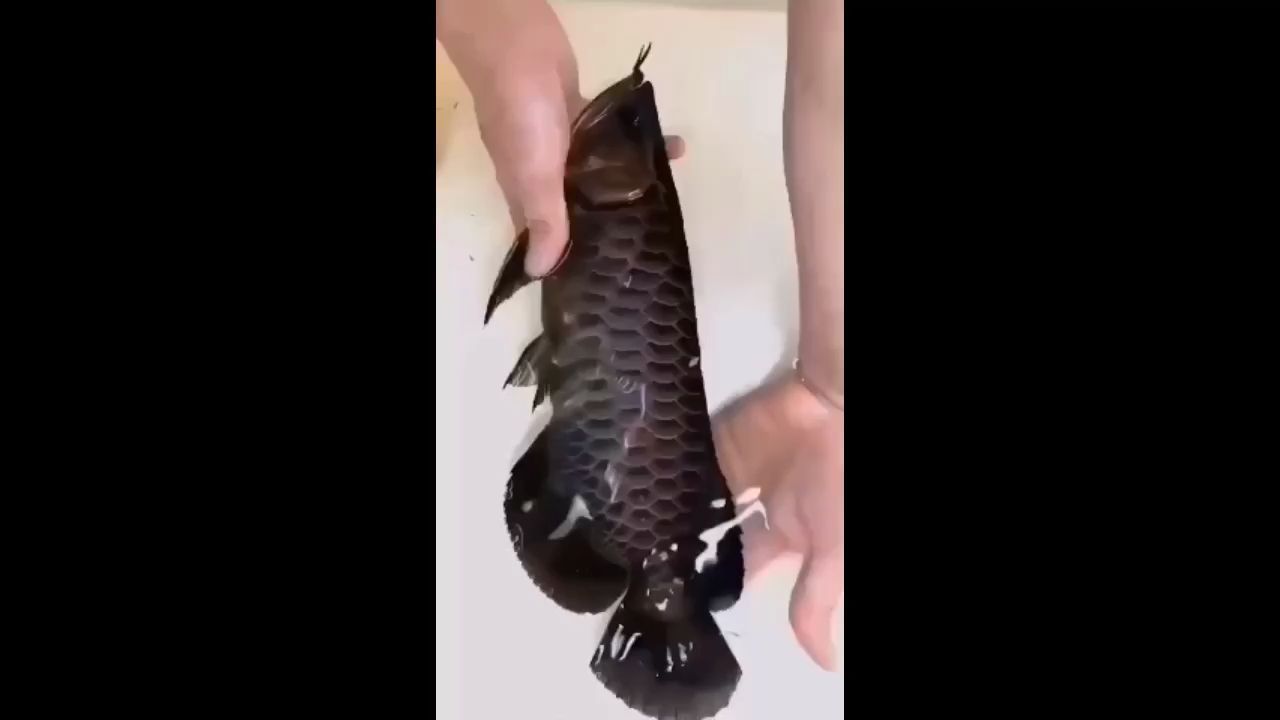 黑龍？烤胡了！（“黑龍？烤胡了！”）