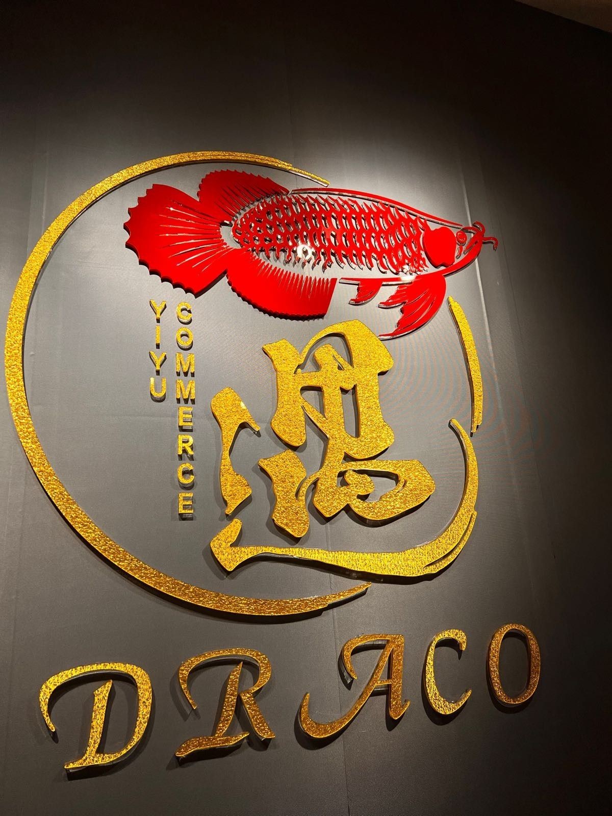 廣州萬吉龍魚（廣州萬吉龍魚公司信息） 廣州萬吉龍魚（廣州萬吉龍魚公司信息） 觀賞魚百科 第8張