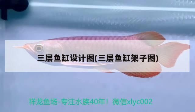 三層魚缸設計圖(三層魚缸架子圖)（三層魚缸設計圖）