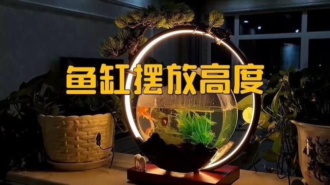 龍魚缸高度應(yīng)該控制在多少（魚缸的高度通常取決于您打算放置魚缸的深度以及您希望達到的效果）