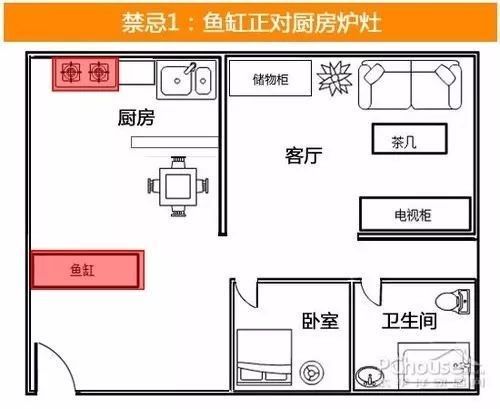 銀龍魚品種的鑒別方法（-銀龍魚的健康狀況如何判斷銀龍魚的健康狀況）
