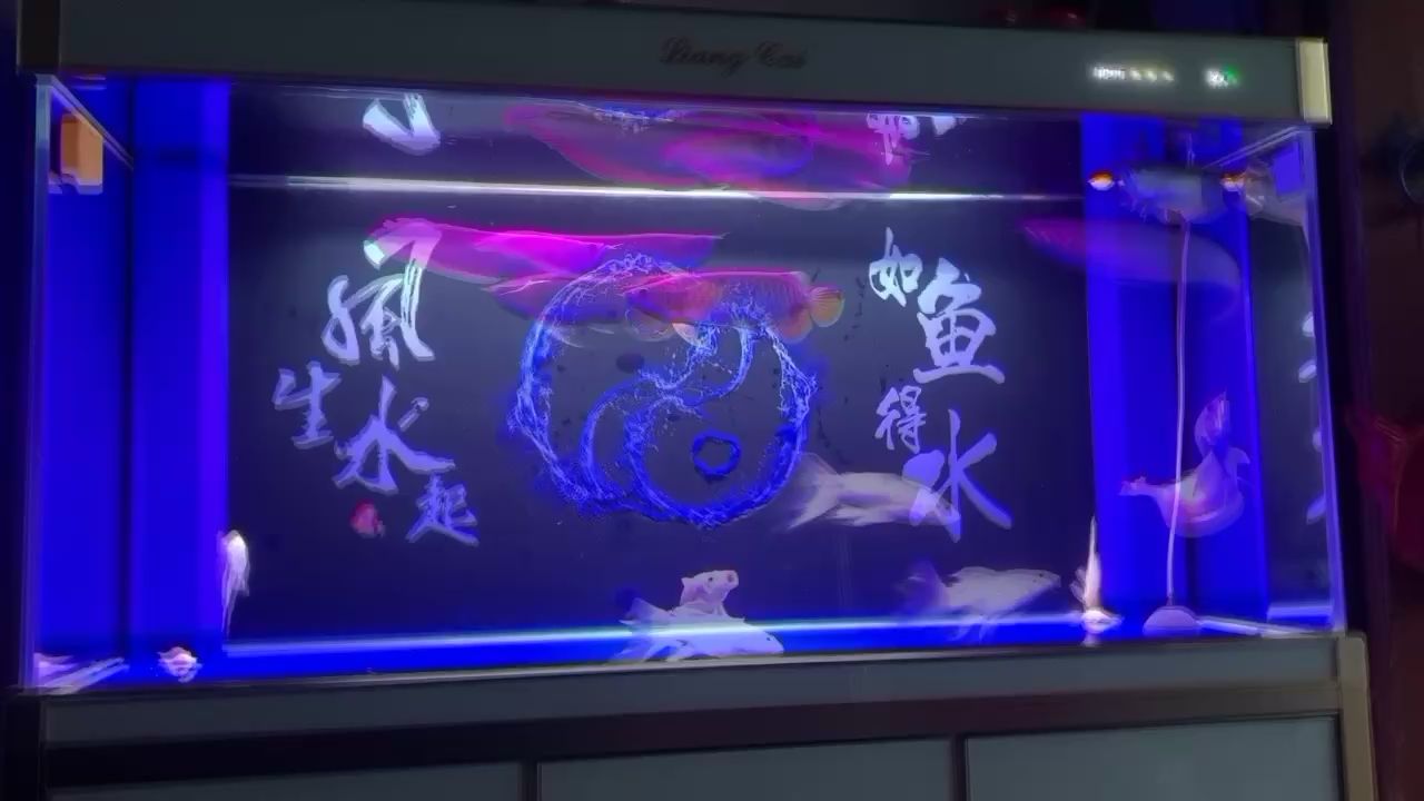 貴陽水族館五龍兩蝶（貴陽水族館“五龍兩蝶”）