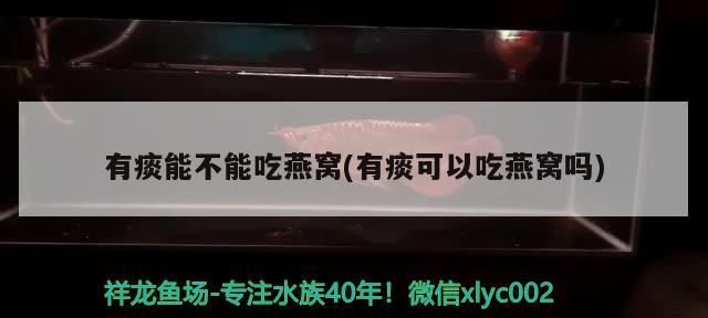 南京魚缸回收電話：南京二手魚缸低價出售（南京二手魚缸回收）