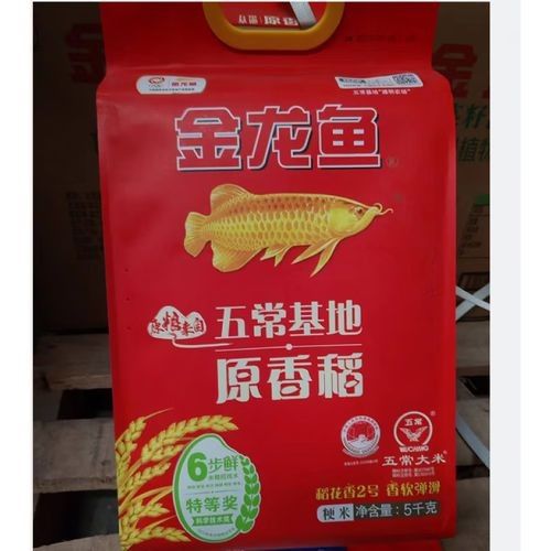 金龍魚生態(tài)香稻粳米有哪些規(guī)格可選（金龍魚生態(tài)香稻粳米提供多種規(guī)格選擇金龍魚生態(tài)香稻粳米） 金龍魚生態(tài)香稻粳米有哪些規(guī)格可選（金龍魚生態(tài)香稻粳米提供多種規(guī)格選擇金龍魚生態(tài)香稻粳米） 龍魚百科 第4張