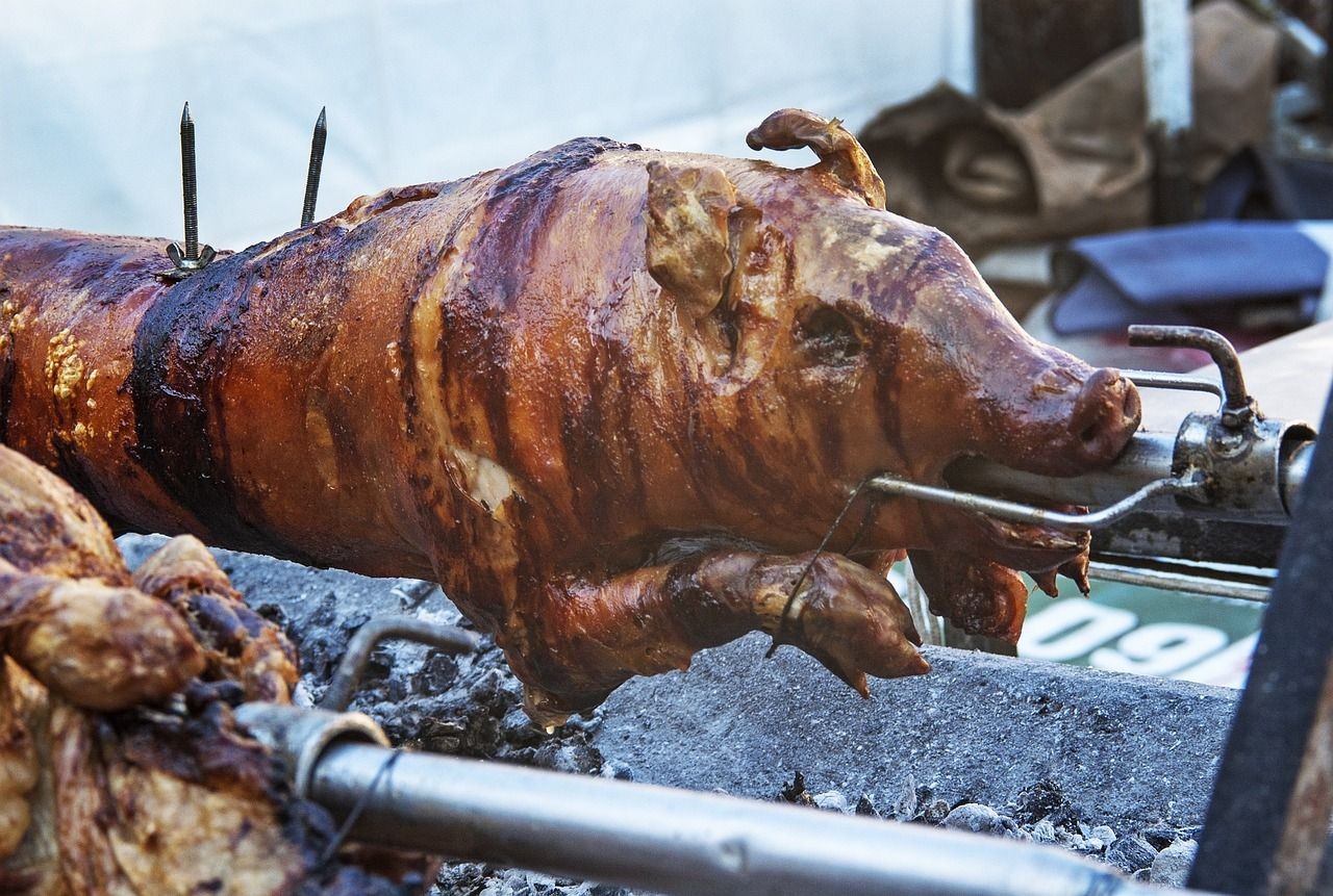 包含龍魚換水需要放些什么的詞條（養(yǎng)龍魚養(yǎng)龍魚需要放15克的鹽可以抑制水中真菌滋生）