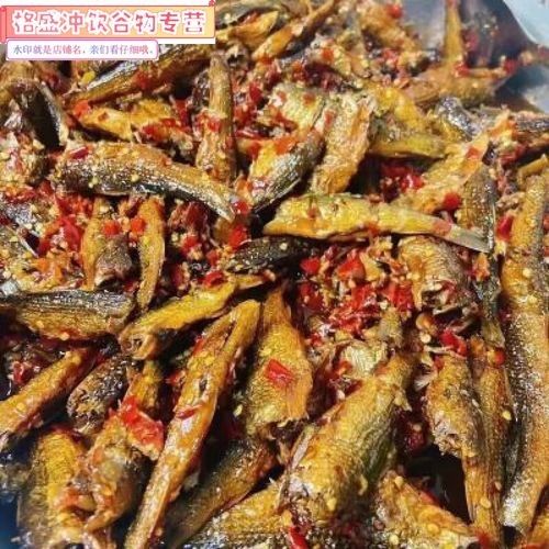 耒陽金龍魚（耒陽金龍魚是什么水龍魚，）