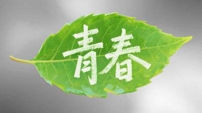 紅龍魚高清視頻素材的版權問題（關于紅龍魚高清視頻素材的版權問題）