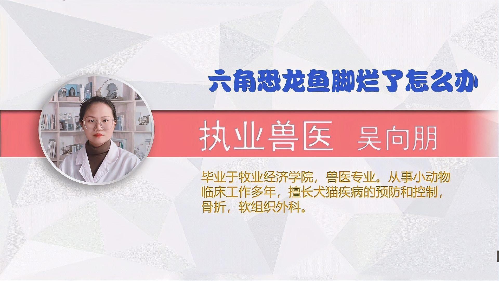 六角龍魚腿爛了會傳染嗎（六角恐龍魚腳爛了怎么辦）