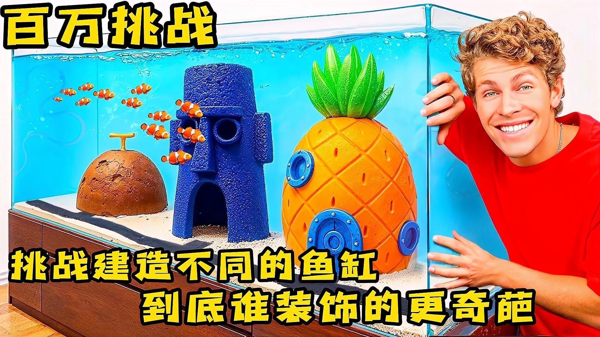 哪種裝飾物最適合龍魚缸？（魚缸裝飾物選擇對于營造一個和諧且吸引人的觀賞環境至關重要）