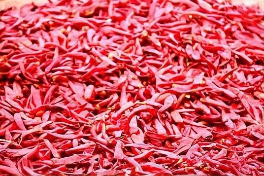 紅龍辣椒的產(chǎn)量如何？（影響紅龍辣椒產(chǎn)量的因素）