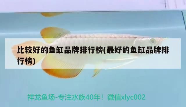 比較好的魚缸品牌排行榜(最好的魚缸品牌排行榜)(什么牌子的魚缸好) 觀賞魚百科 第2張 比較好的魚缸品牌排行榜(最好的魚缸品牌排行榜)(什么牌子的魚缸好) 比較好的魚缸品牌排行榜(最好的魚缸品牌排行榜)(什么牌子的魚缸好) 觀賞魚百科 第2張