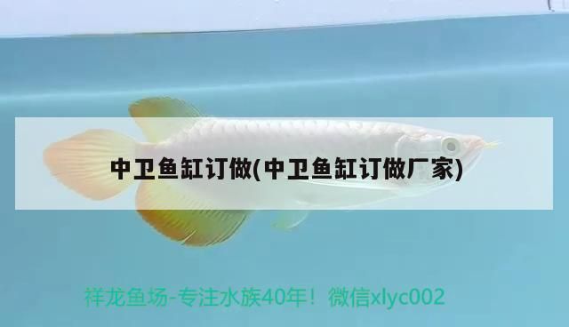 中衛魚缸訂做(中衛魚缸訂做廠家)（中衛魚缸定做的注意事項）