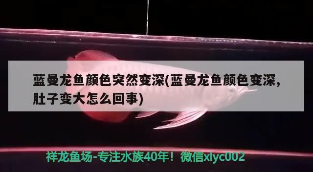 南昌市哪里有賣魚缸的市場?。喜心睦镉匈u魚缸的市場啊多少錢）（南昌市哪里有賣魚缸的市場）